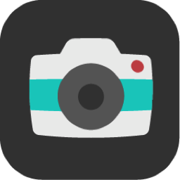Flat icon